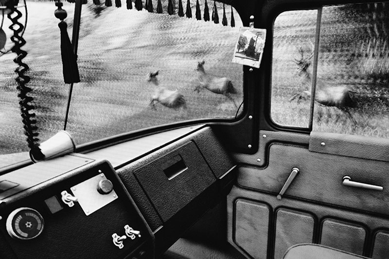 Black and white photograph of inside of truck