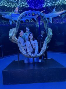 Students enjoying the Wonders of Wildlife National Museum & Aquarium
