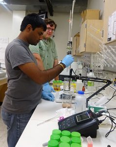 Daniel and Surya analyze the juice processed by three different methods for sugar content, pH and acid content.