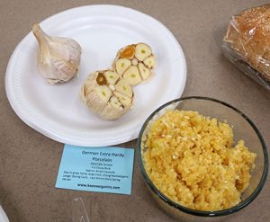 German garlic is the hardneck type in the trial.