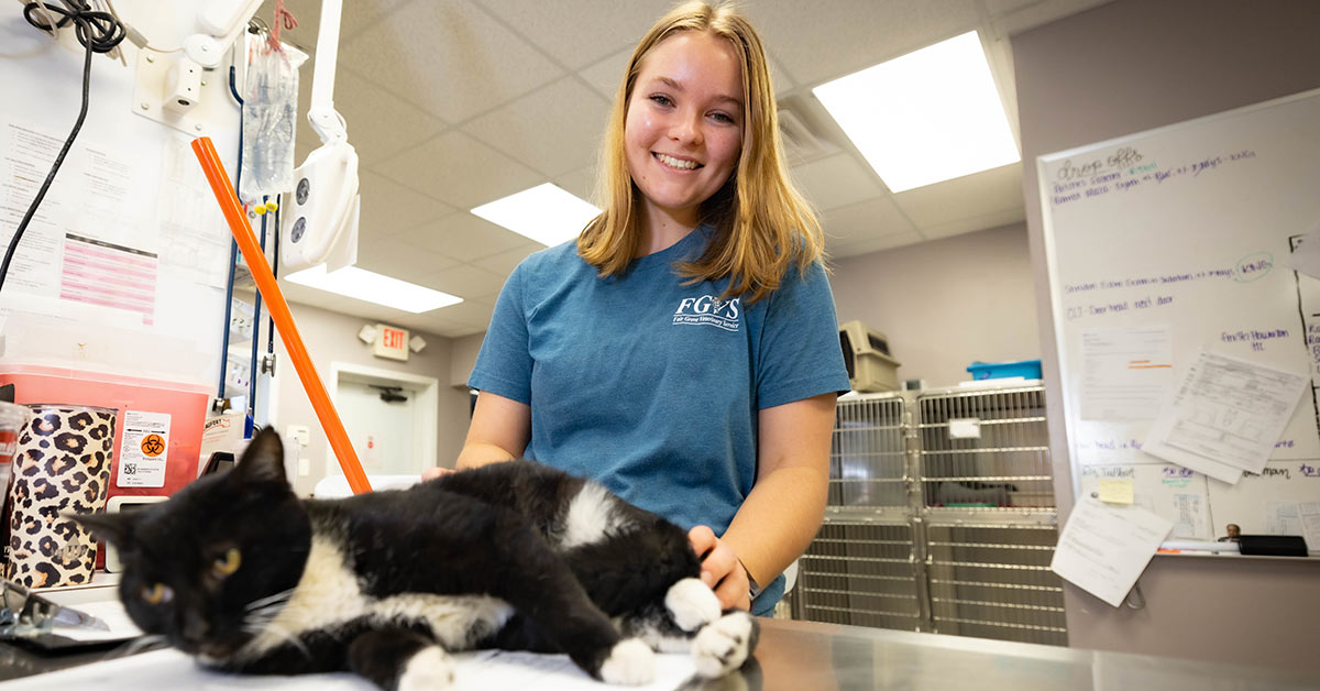 Jacqueline Durant petting a cat at her job at Fair Grove Veterinary Services.