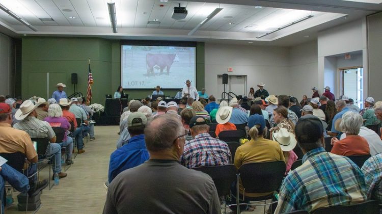 A group of buyers seated at the Journagan Ranch sale observing photos of cattle.