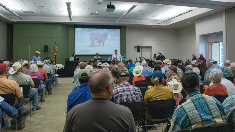 A group of buyers seated at the Journagan Ranch sale observing photos of cattle.