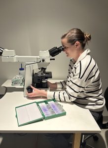 Bailey looking into a microscope.