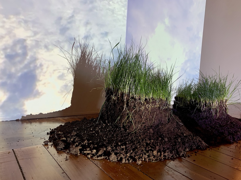 A close-up view of "Touch Grass (Together)," the Best New Media winner by Rick Briggenhorst