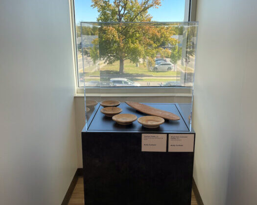 Small plates and a long platter arranged in a display case in front of a window looking out onto a blue sky and large tree