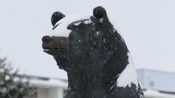 PSU bear covered in snow
