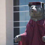 The PSU Bear