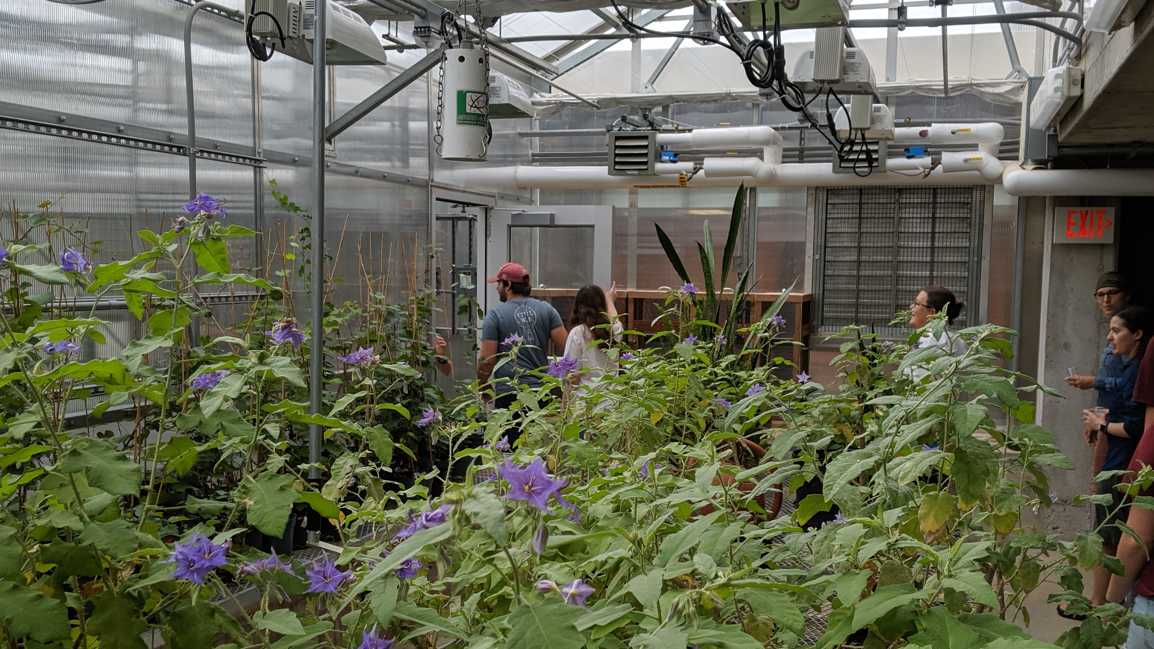Students in the greenhouse