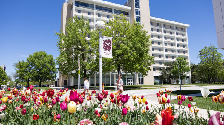 Tulips bloom on campus.