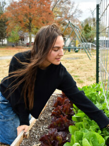 Amanda tends to planter with green, leafy plants