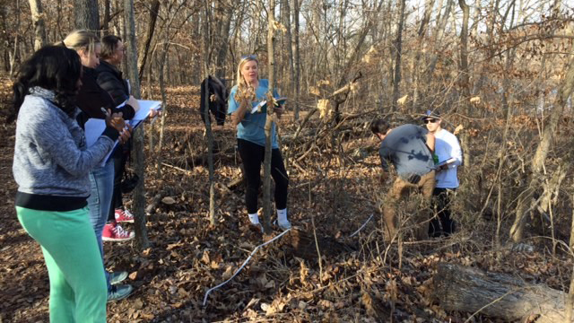 Students doing research during the winter ecology course.