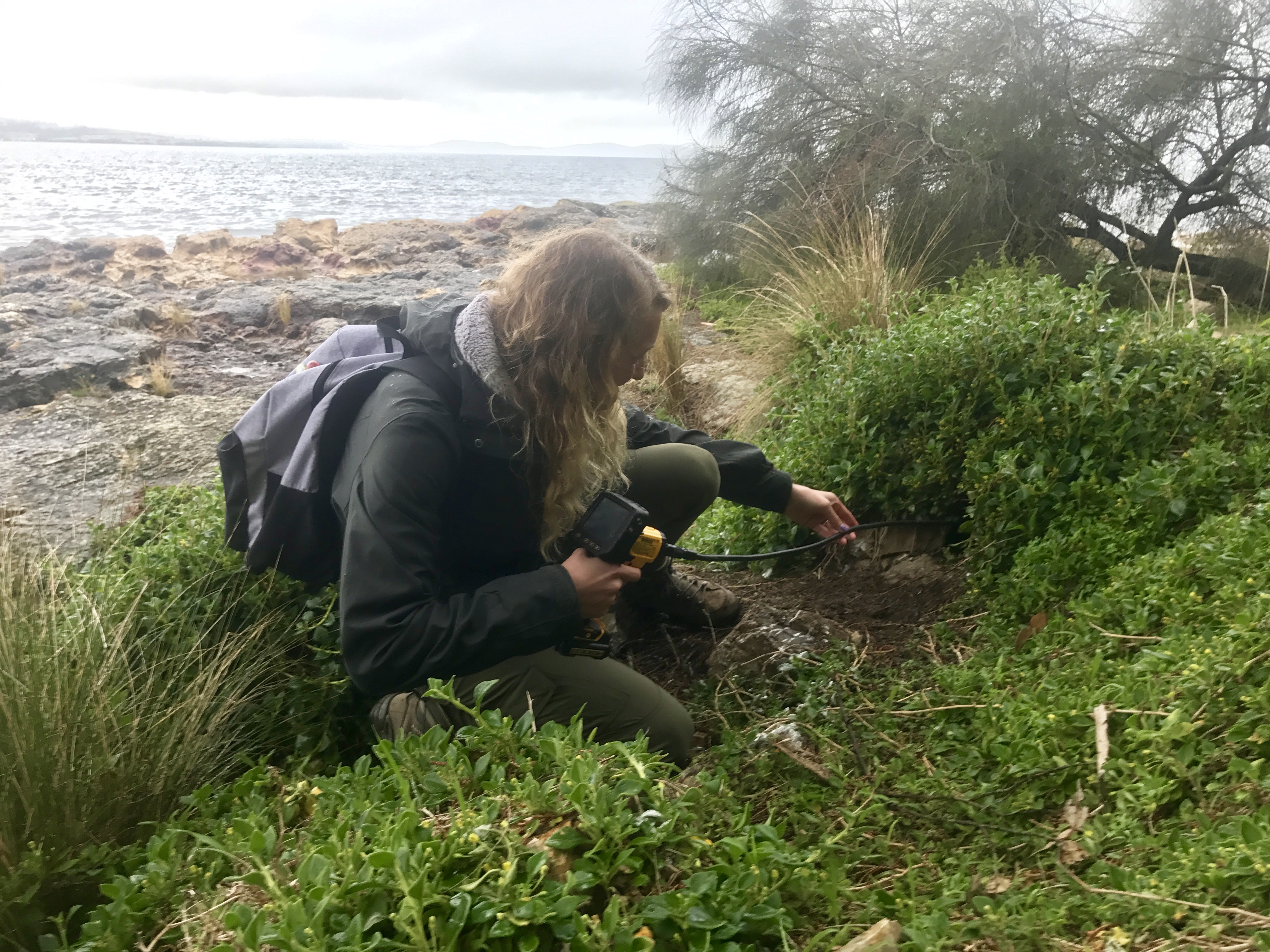 Emily Milton investigates a penguin's nest.