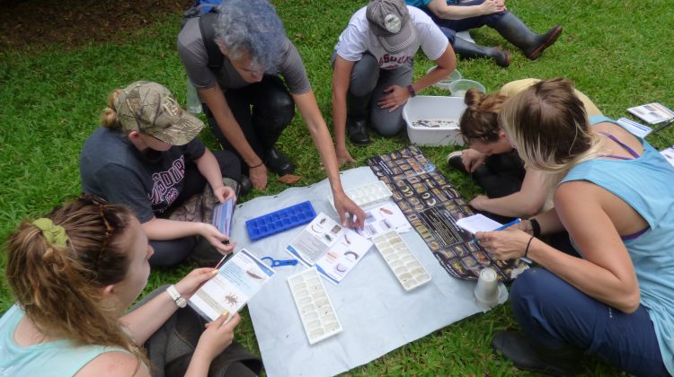 Students collect data in Costa Rica. Carlos Trejos photo