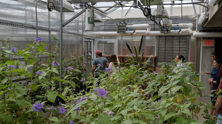 Students and plants in greenhouse
