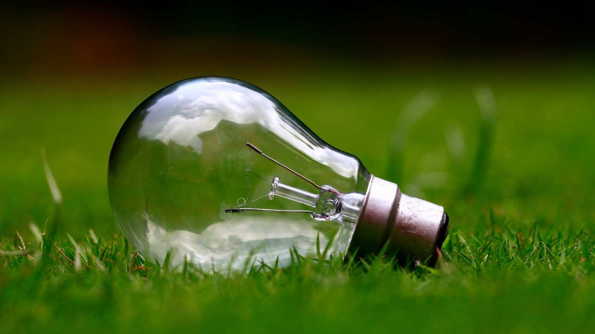 A lightbulb rests in grass. Image by Free-Photos from Pixabay.