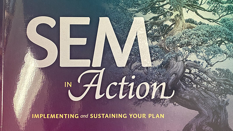 Cover of SEM in Action book