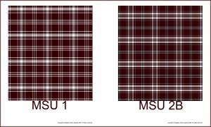 Comparison of MSU 1 and MSU 2B