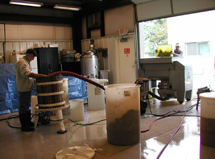 Grapes are put into the destemmer/crusher and then are pumped to the press.