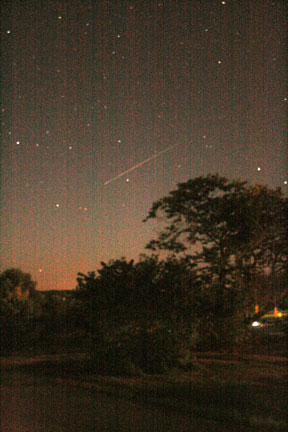 Meteors falling in the horticulture garden. Photo by Brian Cowell.