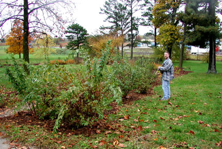 DNR project manager checks on the effectiveness of our rain gardens in intercepting and decontaminating stormwater runoff.