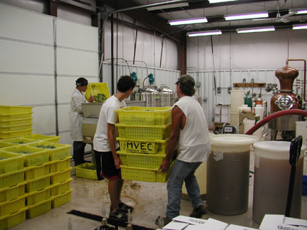 The grape clusters in the lugs are brought into the winery and put in the destemmer/crusher. Photo by Noelle Mollhagen.