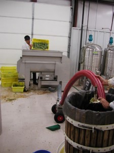 The crushed and destemmed fruit is then pumped into the press. Photo by Noelle Mollhagen.