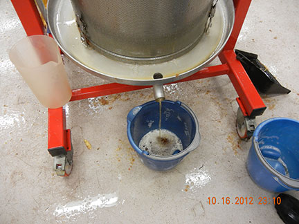 Juice is pressed out of crushed apples and collected in a bucket and put in nalgene tanks.
