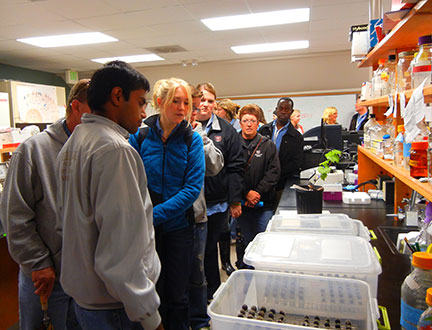 The berry assay speeds up the plant breeding selection process.