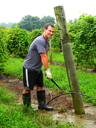 Asher repairs a broken wire in the vineyard on his first day of his new job.