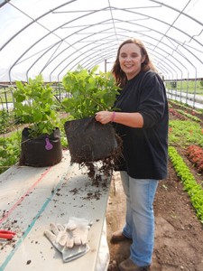 Jennifer Morganthaler holds up the bagged raspberry to show some of the roots growing through the bag.