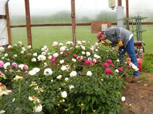 Randy Stout takes a moment to stop and smell the flowers!