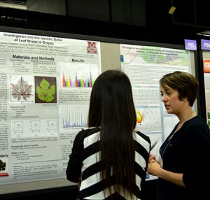 Brigette Williams presented a poster entitled “Investigation into the Genetic Basis of Leaf Shape in Grapes”