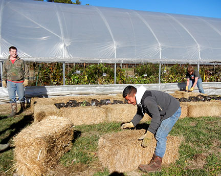 Straw bales are placed around the perimeter of the bags.