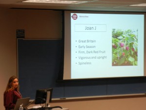 Jennifer presents background information on the primocane bearing raspberry cultivars that are being evaluated in this experiment.