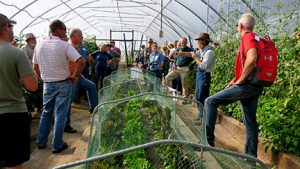 Curtis Millsap Of Millsap Farm in Springfield talked about producing crops in high tunnels.