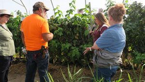 Jennifer Morganthaler of MSU discussed the raspberry research trial “High Tunnel Production Rotation of Primo Cane bearing Raspberries in Grow Bags” funded by the Specialty Crop Block Grant Program and the USDA.
