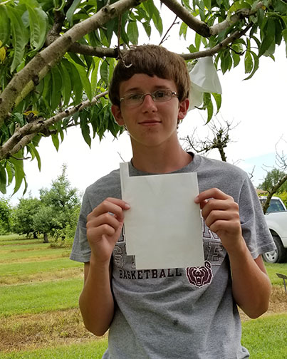 Anthony holds up one of the Clemson fruit bags. You can see the wired tab on the left. There are also vents on the bottom and a "V" notch at the top to fit around the branch.