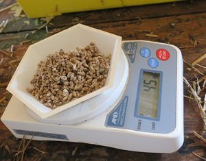 We calculated that we need 45 grams of grain spawn per bag.