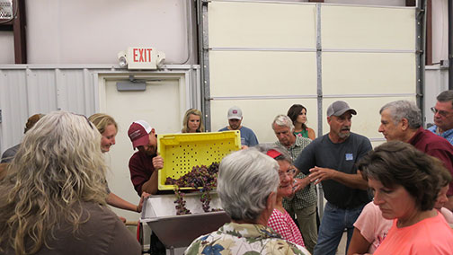 Demonstrations followed showing how grapes are processed through the stemmer-crusher.