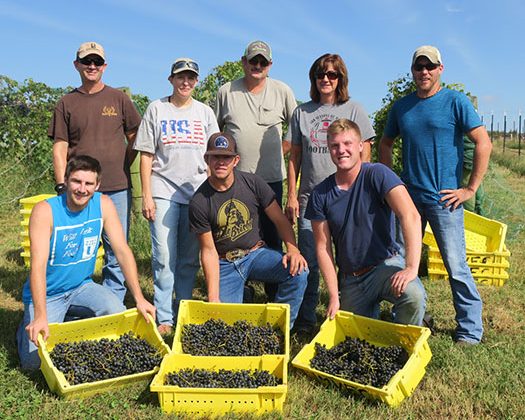 Our harvest crew - (back left) Tom, Sarah, Randy, Shelia, Jeremy, Peyton, Owen and Shawn.