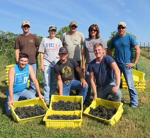 Our harvest crew - (back left) Tom, Sarah, Randy, Shelia, Jeremy, Peyton, Owen and Shawn.