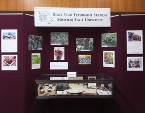 The State Fruit Experiment Station Exhibit featured information on native crops. It is dedicated to John Avery who worked at the station as the field supervisor and horticulturist who initiated many of the projects on native crops at the experiment station.
