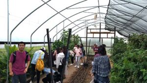 The group went to see what was growing in the high tunnel