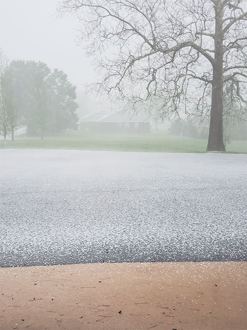 Hail accumulation on Monday afternoon, May 4, 2020 in Shepard Parking lot. Photo by Pam Turner.