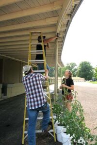 Trace affixes the strings to support the tomato plants while Emily helps line up the locations of the eye bolts. Randy keeps the ladder steady.