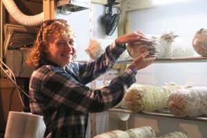 Emily focused on harvest stages of both oyster and Bella mushrooms.