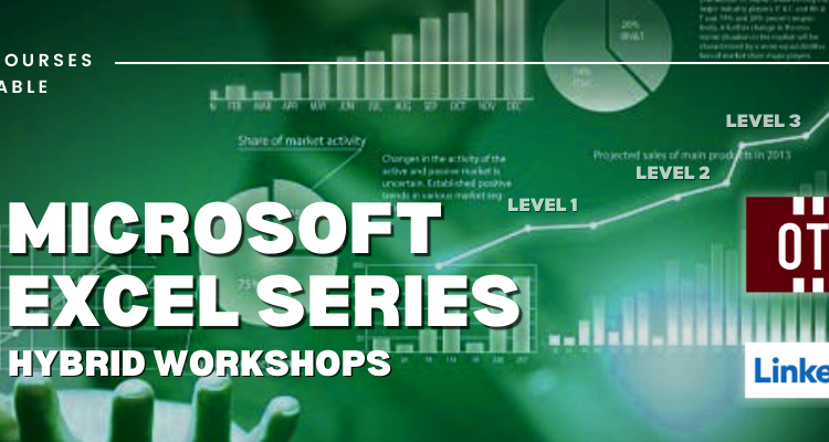 Microsoft Excel Series Hybrid Workshops