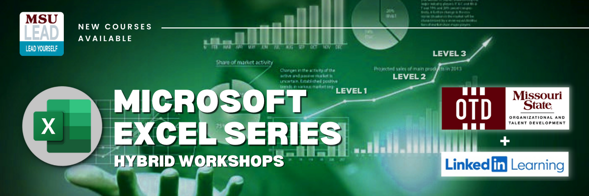 Microsoft Excel Series Hybrid Workshops