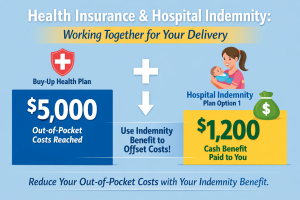 Graphic showing Medical insurance out of pocket maximum of $5000 and Hospital indemnity plan option 1 payment of $1200